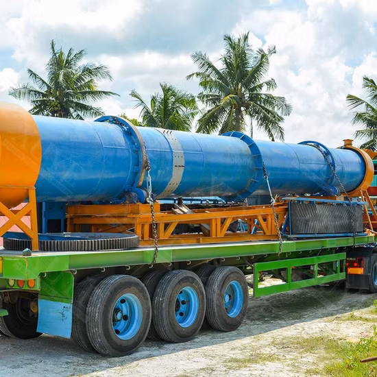 Sécheur rotatif à cylindre unique de sel de mer de boue de sable de vente de fabricant