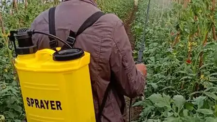 Désinfection agrochimique Stérilisation Sac à dos agricole Batterie de jardin de ferme Sac à dos électrique Pulvérisateur manuel manuel (HT-20H)